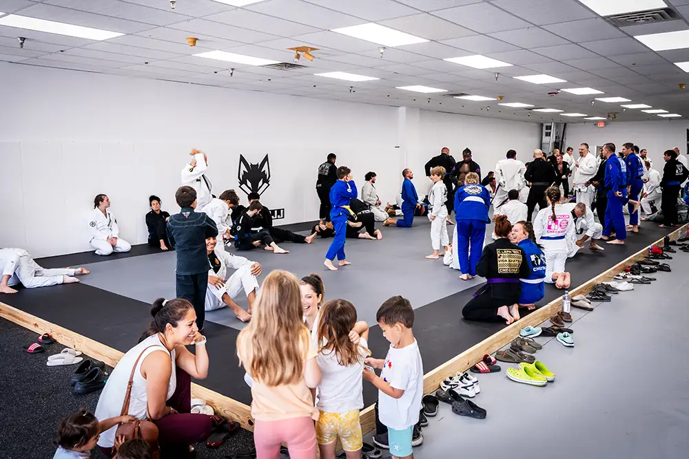 Our best Jiu Jitsu websites bring dozens of new students to training at a local jiu jitsu school